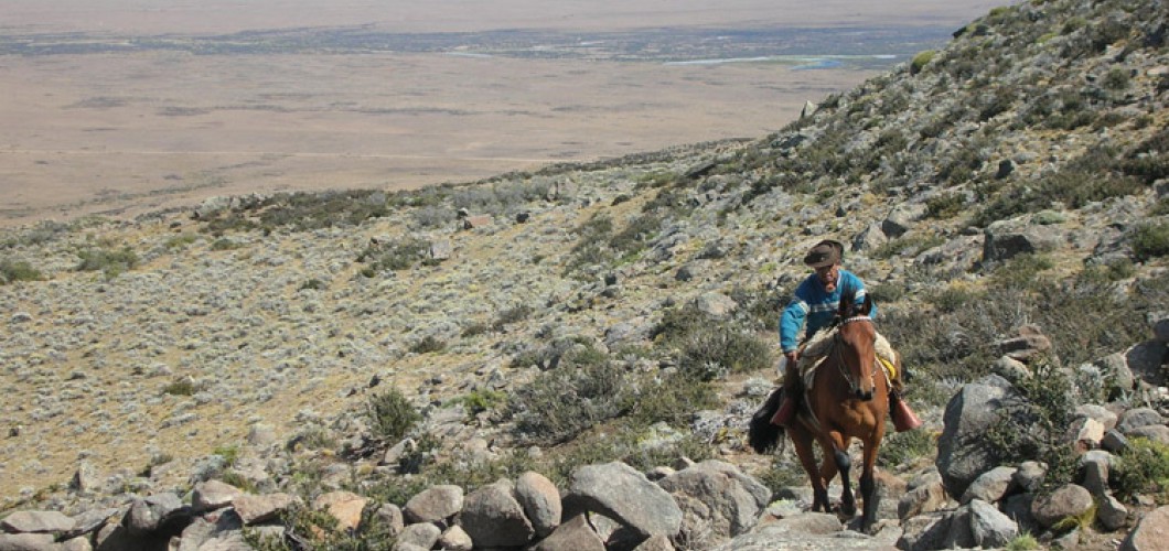 Patagonie (27)